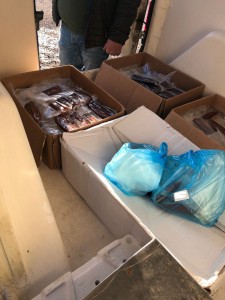 pesce sequestrato da guardia costiera