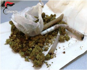 spinielli sequestrati da carabinieri nel nuorese