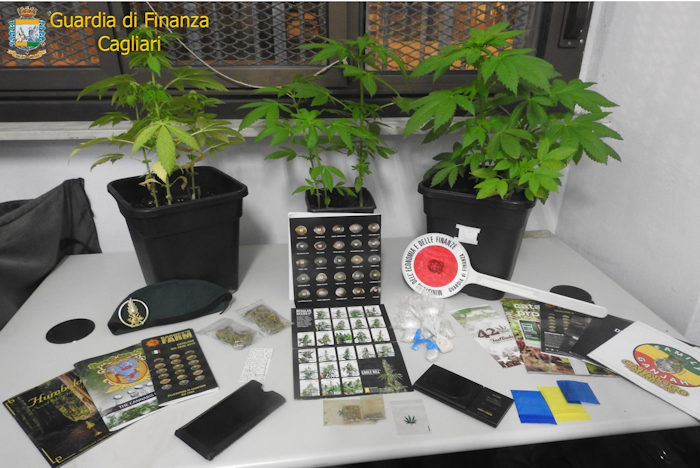 Vasi con piante cannabis sequestrati da gdf cagliari