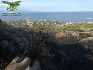 Santa Teresa di Gallura 17 Ago 2018_Incendio Loc Torre Longosardo