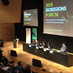 Ambiente_assessora Spano a Barcellona