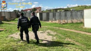 sequestro canile irregolare a olbia da gdf