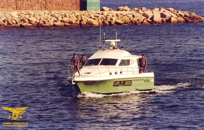 pattuglia a mare forestali