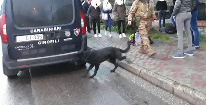 Cinofili controlli