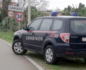 Cardedu