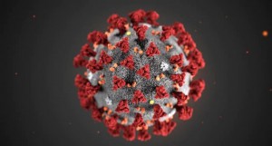 Isolato allo Spallanzani di roma il coronavirus