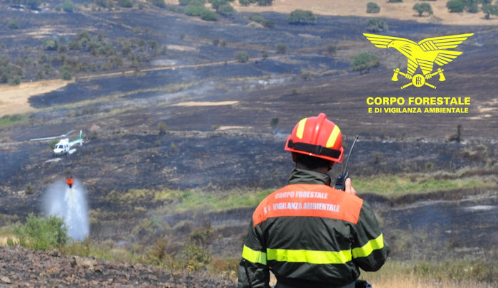Incendi sardegna del 29 giu 2020
