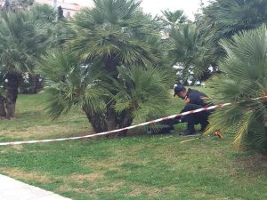 artificieri dei carabinieri di cagliari con valigia sospetta2