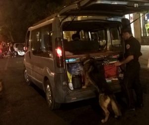cani antidroga carabinieri in azione