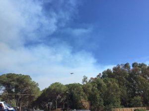 incendio pula
