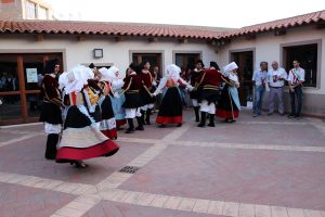 1 - Calici di stelle 2017