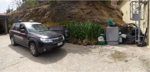 auto stazione desulo sul luogo ritrovamento piantagione cannabis
