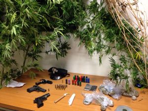 droga armi sequestrata da cc a guspini