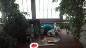 carabinieri quartu con droga e euro