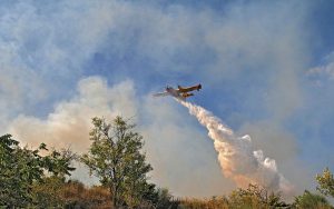 canadair in azione sugli incendi2