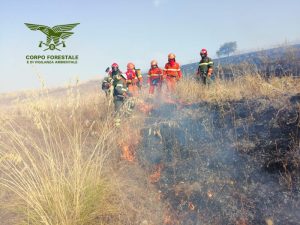 Forestali Sardegna sul fronte incendi