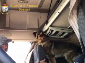 Maxi sequestro di cacaina da parte dei finanzieri di Olbia.2