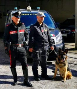 Cani antidroga della Gdf di Ca che hanno collaboratore cc Sanluri