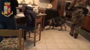 Op antidroga Polizia Nu